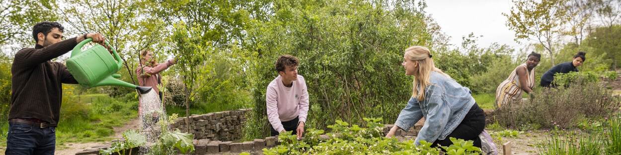 Jongeren werken in een tuin