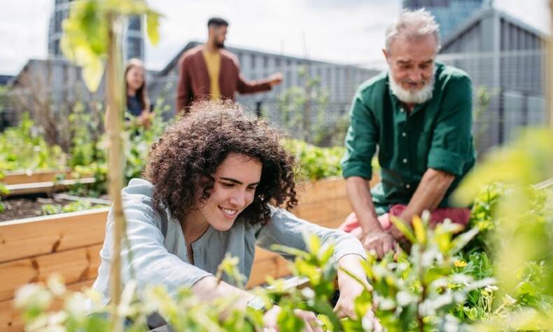 Mensen die werken in een moestuin